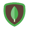 https://img.icons8.com/color/100/000000/mongodb.png